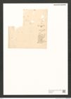 Diatomeae indet. Zeichnungen Sammlung Grunow (NHMW-BOT-W0370801)